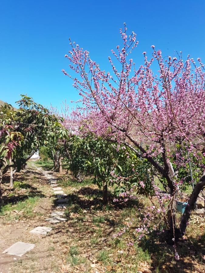 Casa Rural En Santa Cruz Los Campitos 외부 사진