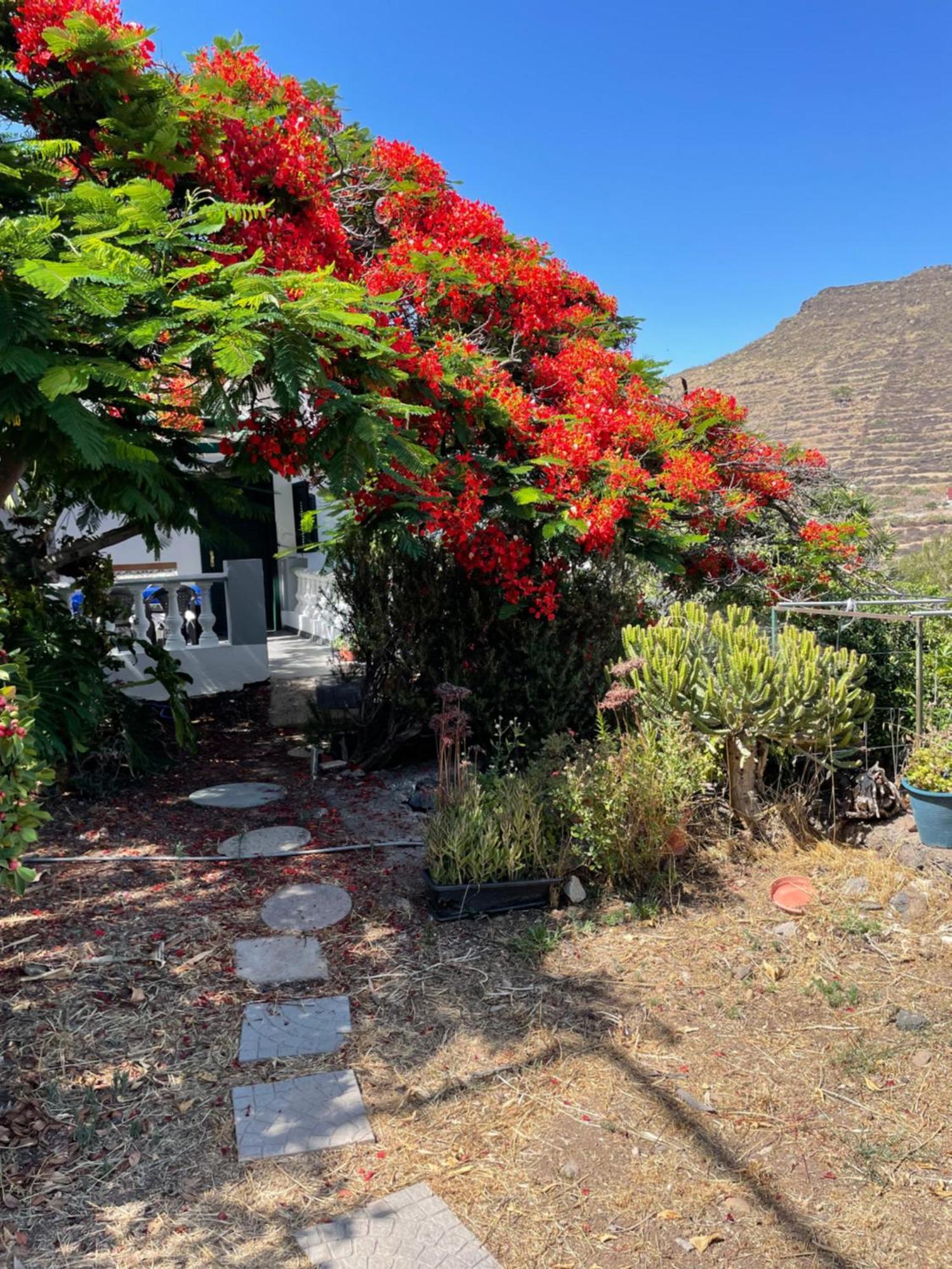 Casa Rural En Santa Cruz Los Campitos 외부 사진
